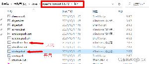 Tomcat服务器入门超详细教程