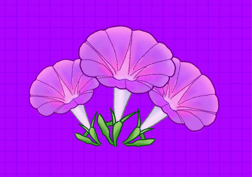 PS如何手绘牵牛花插画？Photoshop绘制牵牛花的方法