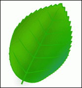 用Illustrator CS5绘制漂亮的玫瑰花
