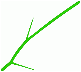 用Illustrator CS5绘制漂亮的玫瑰花