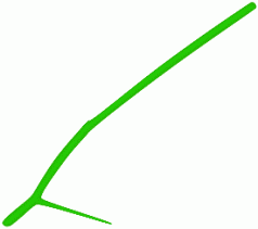 用Illustrator CS5绘制漂亮的玫瑰花