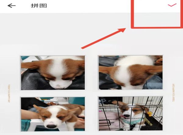 四张照片怎么合成一张