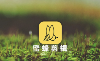 蜜蜂剪辑有水印吗详情