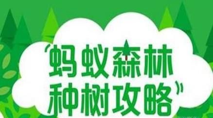 蚂蚁森林合种树攻略