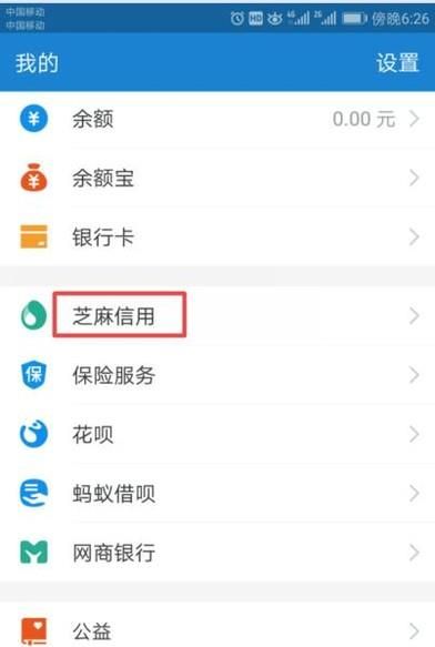 如何使用支付宝查询芝麻信用负面记录