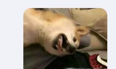 手机QQ怎么快速识别并提取图片中的文字