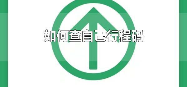 如何查自己行程码 支付宝和微信可以查自己行程码