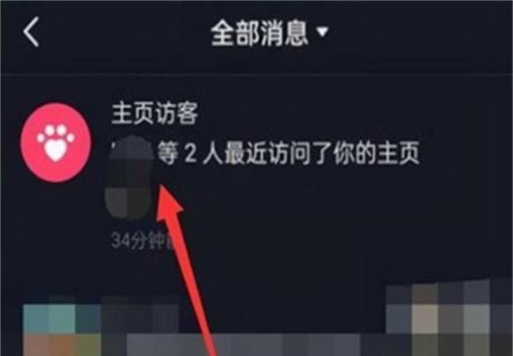 抖音随拍怎么看访客记录