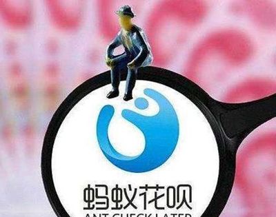 花呗逾期会上征信吗？